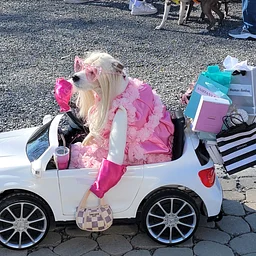 🎃🐕HOWL-O-WEEN Dog Parade