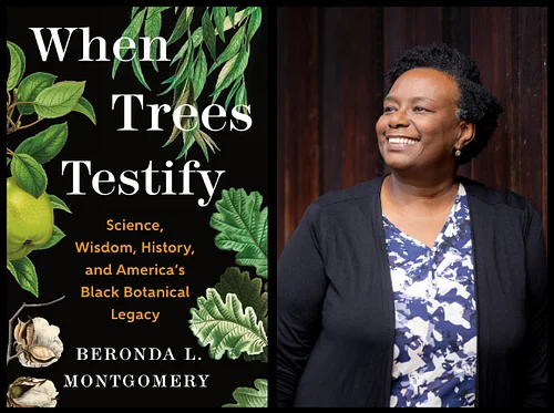 “When Trees Testify” by Beronda Montgomery