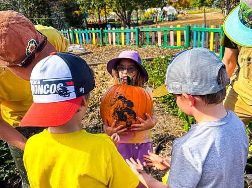 What’s Ghouling on in the Garden