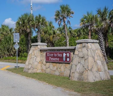 Ocean to Estuary: A Tidal Journey