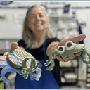 Make A Bug with Danielle~The Clay Lady on Saturday, July 18 from 10:00-11:30