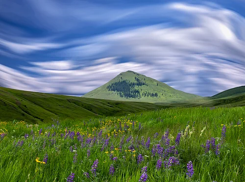 Call to Artists: Wild Landscape – Zumwalt Revisited