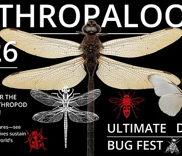 Arthropalooza: Ultimate Bug Fest