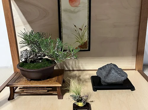 Demonstration: Shohin Bonsai