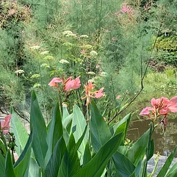 July Garden Tour