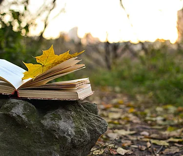 Nature(+) Bookmaking from Scratch