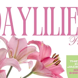 Daylilies – The Perfect Perennial