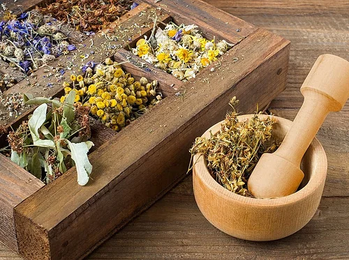 Intro to Herbalism with Claudia Nagy