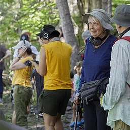 Community Workshop: Rhythm in Nature