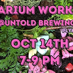 Terrarium Workshop @ Untold Brewing (Plymouth)