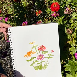 Sip and Zin(nia): Watercolor in the Garden
