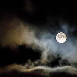 Fall Equinox Night Hike