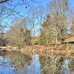 Quinnetukut: Indigenous Stewardship of Land & Waterways