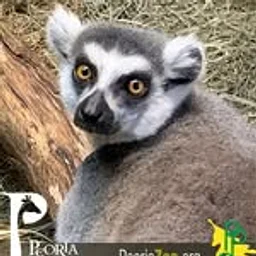 Peoria Zoo