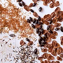 Collect native seed & ID grasses – location TBD