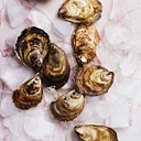 Oyster Party @ HVB