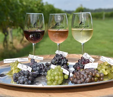 Seminar 4: Grapes to Glass