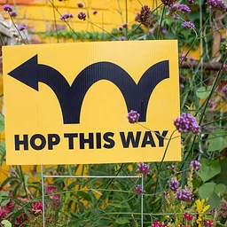 34th Annual South End Art Hop