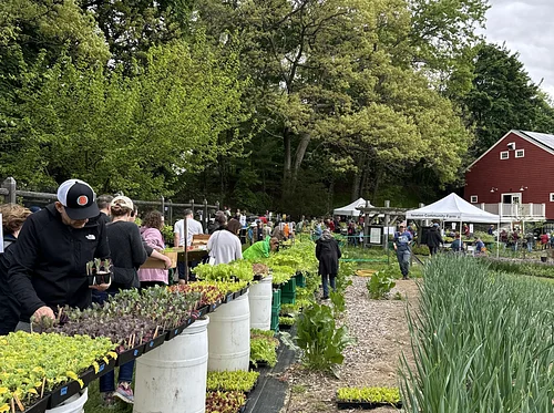 Annual Seedling Sale 2026