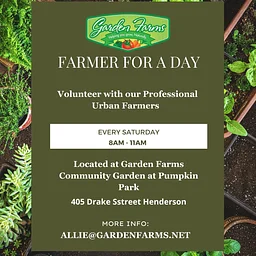 Farmer For a Day : Pumpkin Park