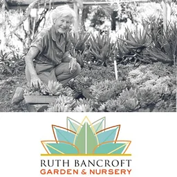 Speakers Series – Jacki Kohleriter – Ruth Bancroft Gardens