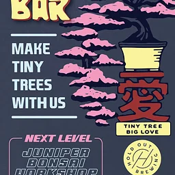 Bonsai Bar x Hold Out