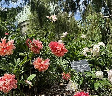 In-Person May Highlights Tour