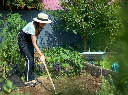 Getting Started with Natives