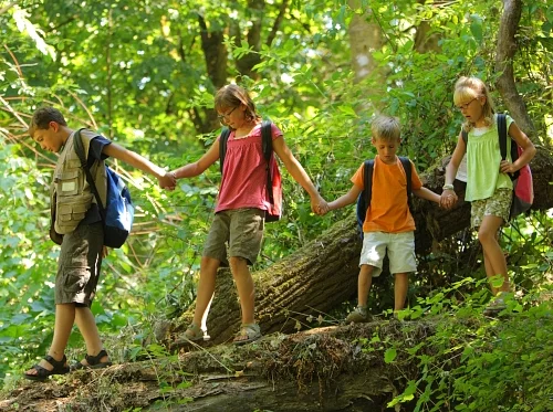 Week 4: Awesome Adventures