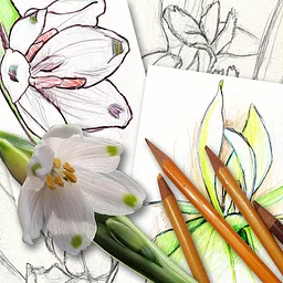 Hatcher Garden Art Camp