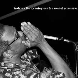 Live Music by Professor Harp