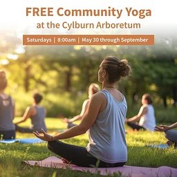 Yoga on the Lawn
