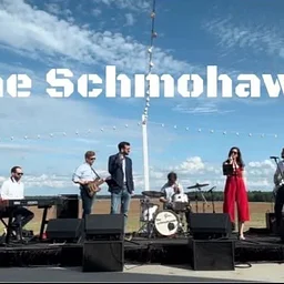 ELYSIAN GARDENS PRESENTS: THE SCHMOHAWKS