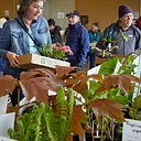 NPA Fall Plant Sale