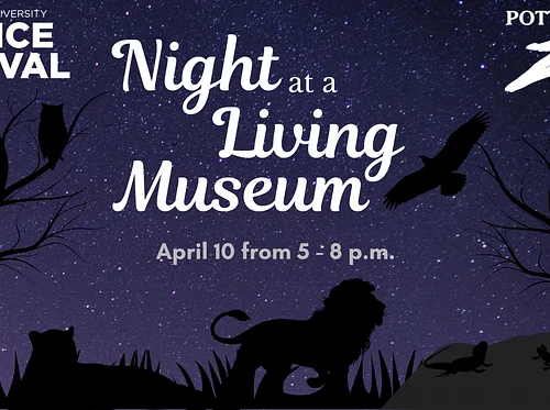 Night at a Living Museum