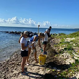 MUVE International Coastal Cleanup Day 2026