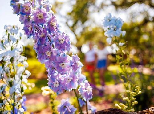 Drop-In Tour: Staff Picks!