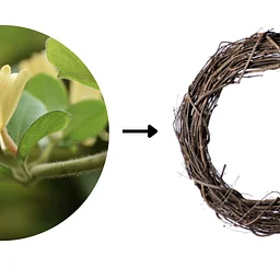 Alchemizing Invasives- Wreath Workshop
