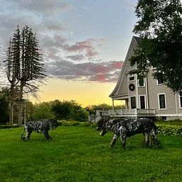Stone Lions Farm