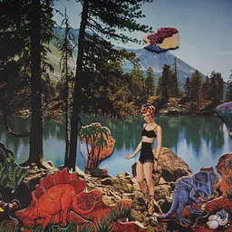 Slow Looking with Florida Artists