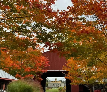 Green Friday Hike: November 27