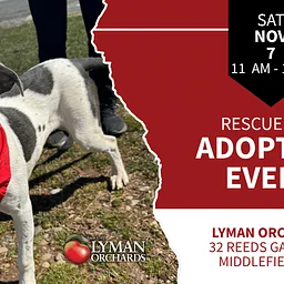 Adopt a Rescue Dog at Lyman Orchards