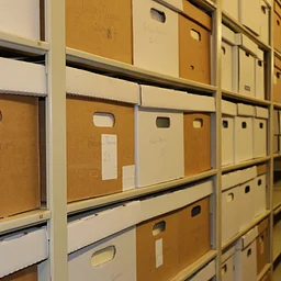 Collections Tour: Back to School