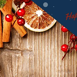 Celebrate the Holidays at the EcoTarium