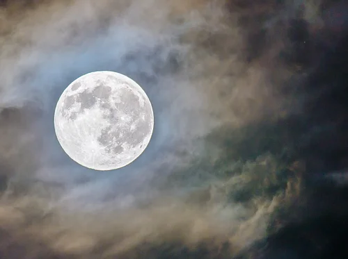 Moonlight & Fireflies Hike