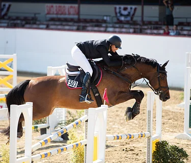 Santa Barbara National Horse Show