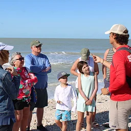 Guided Beach Walk @ Island Inn