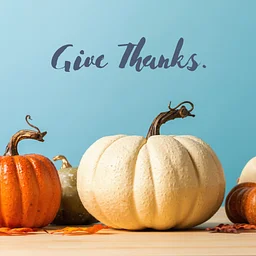 Closed. Happy Thanksgiving friends!