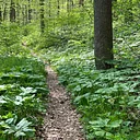 Beyond the Fence Trail Hike