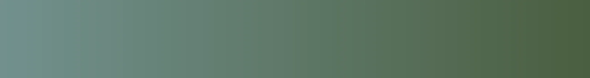 Flatwoods Monster Museum